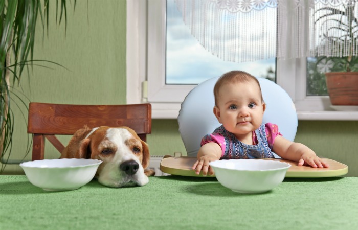 little girl with a dog waiting for dinner