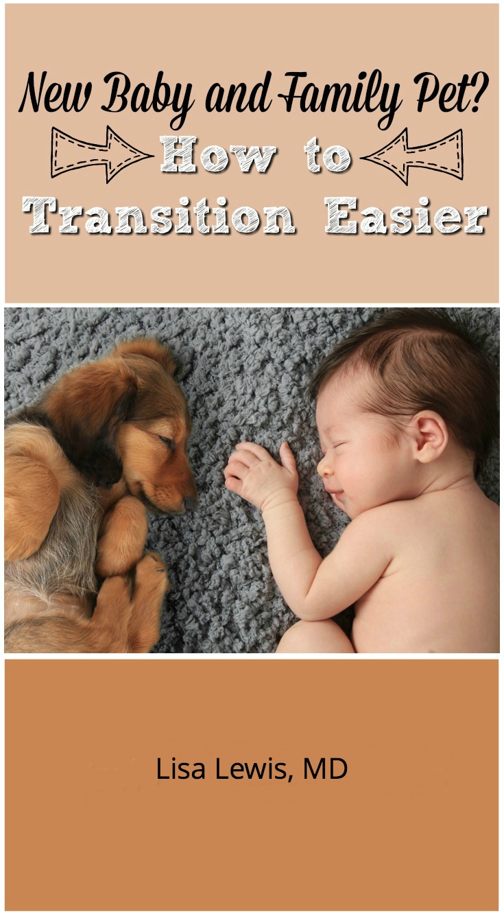 A beloved family pet can adjust to a new human family member. Follow these steps to ensure an easier transition for your pet and new baby.