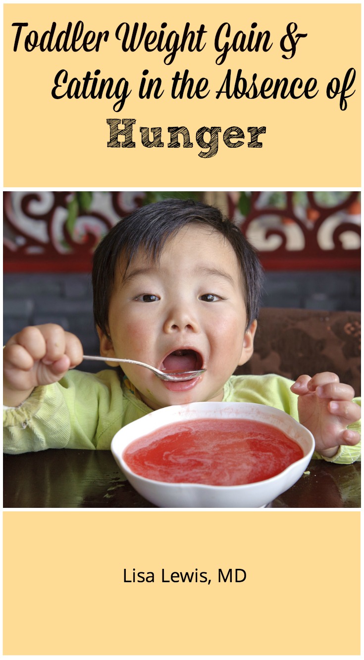 The American Academy of Pediatrics published an article May 2016 showing that eating without hunger increases toddler weight gain. Here's how to help.